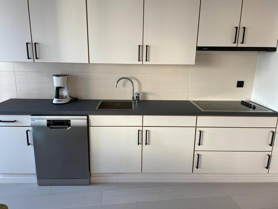 Trendy & Ruim Appartement Centum Oostende 外观 照片